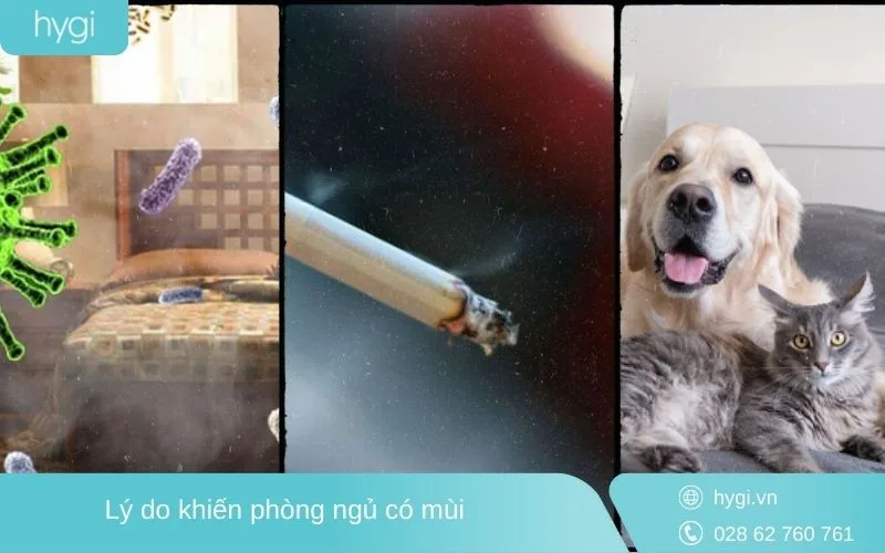 Có nhiều nguyên nhân dẫn đến phòng ngủ có mùi